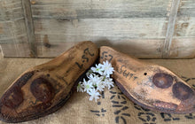 Load image into Gallery viewer, Pair of Original Shoe lasts- Adult Size 5-7