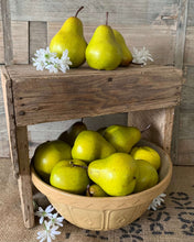 Load image into Gallery viewer, Faux Pears