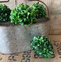 Load image into Gallery viewer, Large Oval Gal Carry-all