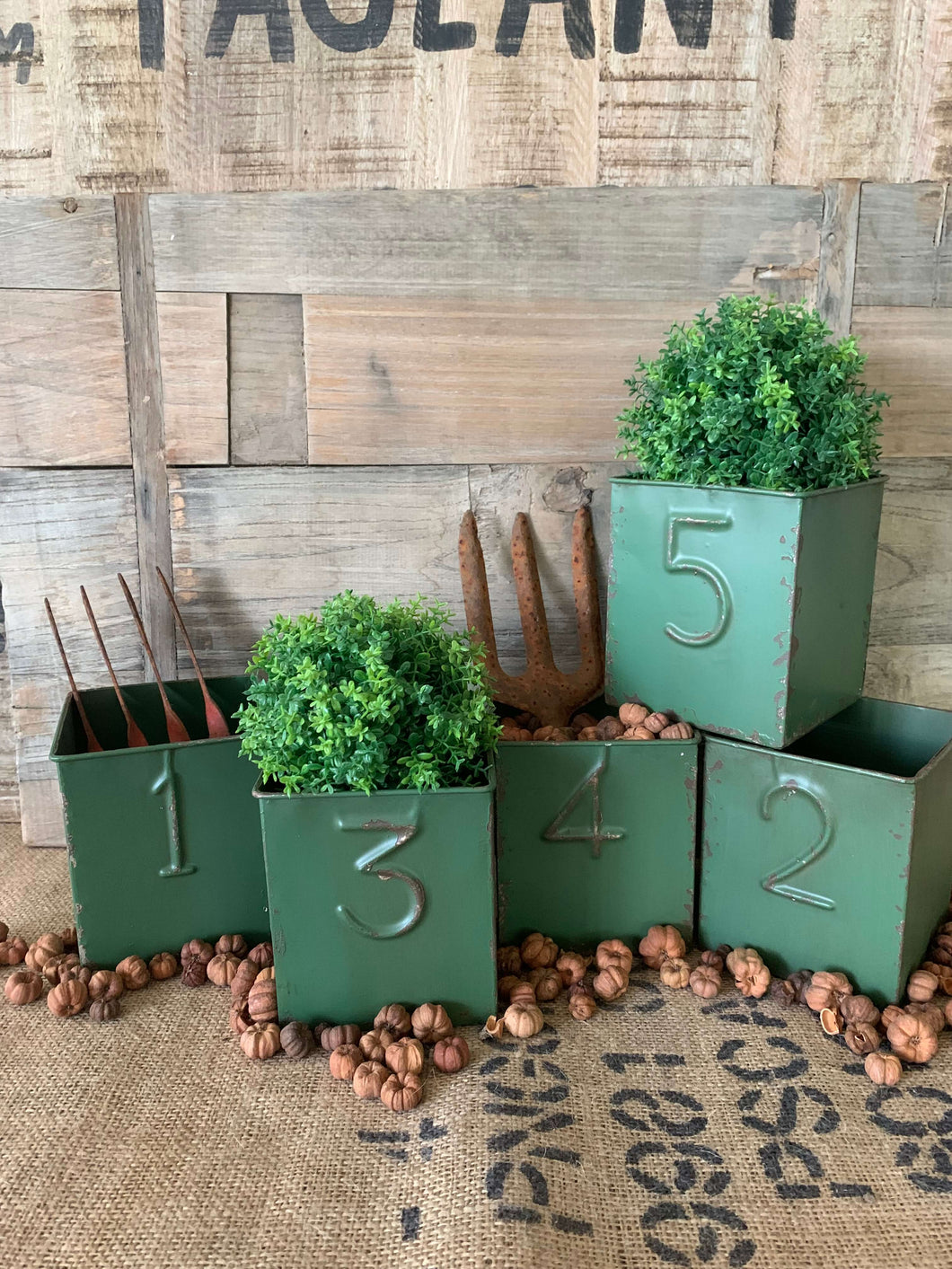 Green Display Tin with Numbers