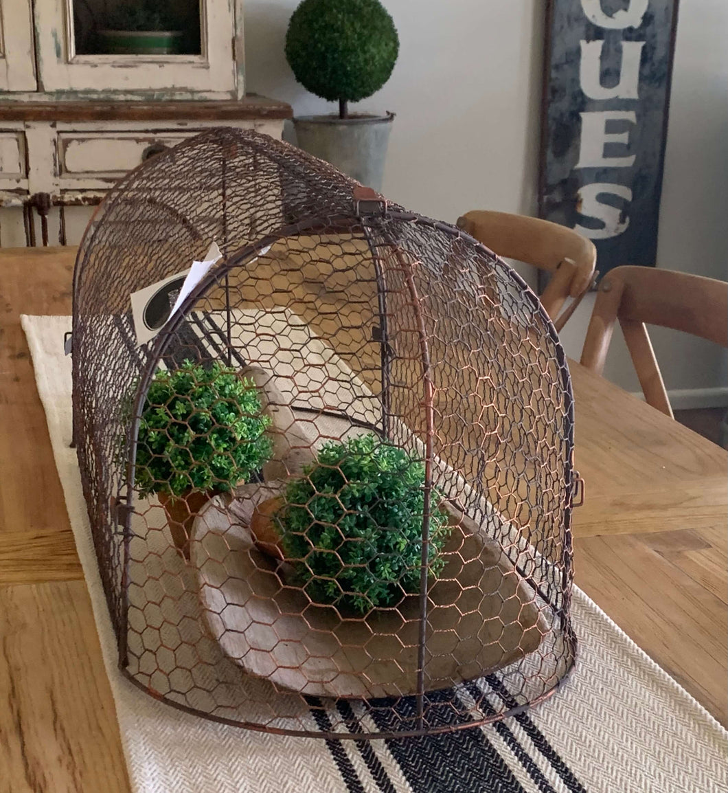 Wire Table Dome/Cloche'