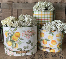 Load image into Gallery viewer, Oval Buckets - Lemon Themed
