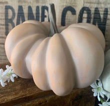 Load image into Gallery viewer, Decorative Pumpkins
