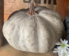 Load image into Gallery viewer, Decorative Pumpkins
