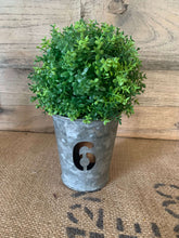 Load image into Gallery viewer, Gal #6 Pail with Greenery
