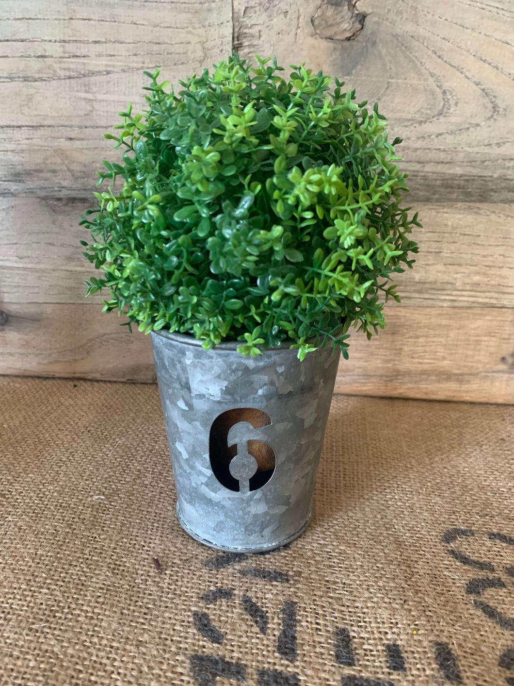 Gal #6 Pail with Greenery