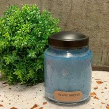 Load image into Gallery viewer, Keepers of the Light - 6oz Baby Jar
